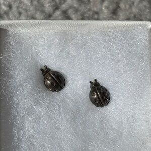 Ladybug Earrings